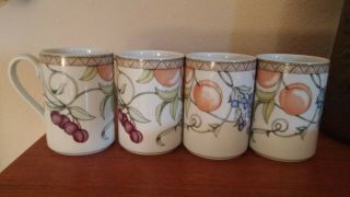 Set Of 4 Dansk Umbrian Fruits Coffee Mugs 4 1/8 " Tall No Issues Very