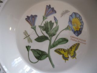 NWT Portmeirion Soup Plate Bowl The Botanic Garden Trailing Bindweed 8 1/2 