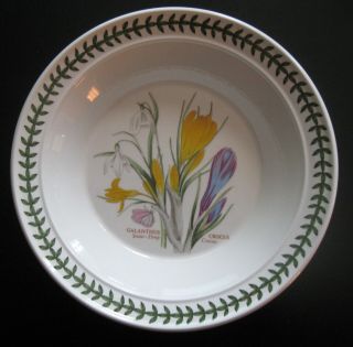 Nwt Portmeirion Soup Plate Bowl The Botanic Garden Snow Drop Crocus 8 1/2 "