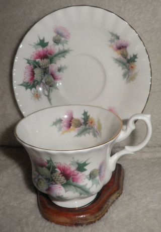 Royal Albert Summertime Series " Avebury " Teacup And Saucer With Purple Thistle