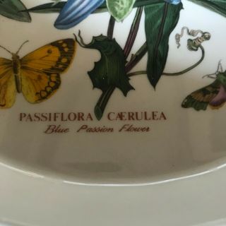 Portmeirion Dish Passiflora Caerulea Blue Passion Flower 10.  5 Tart Quiche Pie 2
