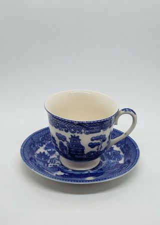 Blue Willow Demitasse Cup And Saucer/ Marked “japan”
