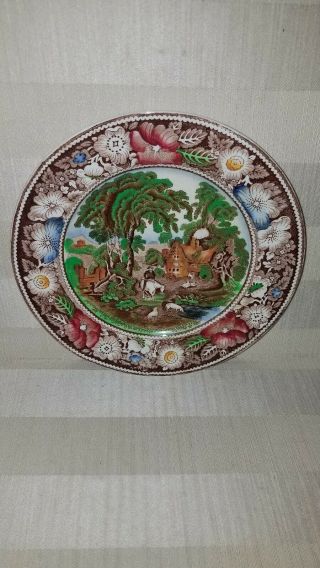 " Rural England " W.  R.  Midwinter Ltd.  Multi Color 8 " Salad Plates Made In England
