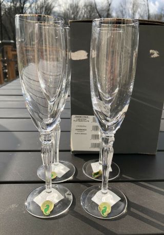 Set Of 4 Waterford Crystal Carleton Platinum Champagne Flute Glasses W/ Box