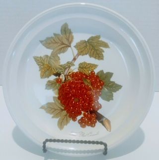 Vintage Portmeirion Pomona The Red Currant Rimmed Plate 8.  5 " Cond