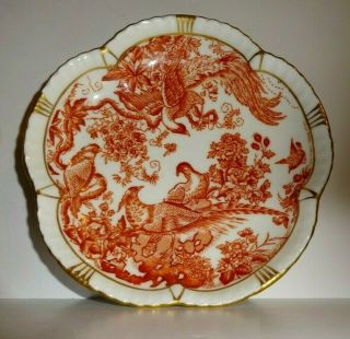 Royal Crown Derby Red Aves 5 " Scalloped Bone China Bowl Dish Tray Xxv Vintage