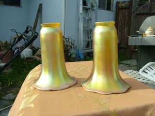 Vintage Pair Signed Carl Radke Gold Aurene Favrile Art Glass Lamp Shades
