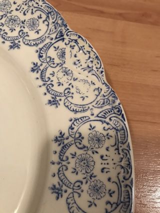 Homer Laughlin Dinner Plate Vintage Blue And White Trim N 43 N 8 3