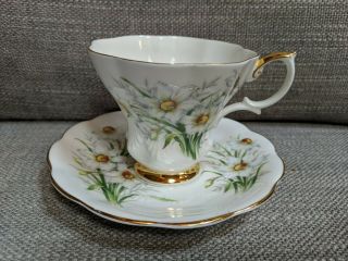 Royal Albert Teacup & Saucer " Friendship Series " Narcissus W/gold Gilt Trim