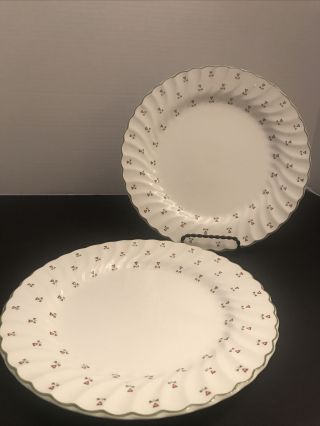 Pair Laura Ashley “thistle” 9.  5” Dinner Plates Johnson Brothers Made In England