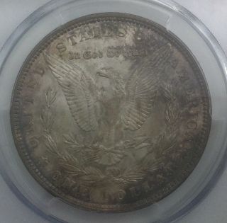 1888 P Morgan Dollar PCGS MS64 Nicely Toned Coin 3