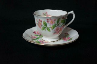 Royal Albert Evesham Apple Blossom Cup And Saucer