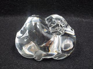 Steuben Art Glass Hand Cooler Paperweight Puppy Love