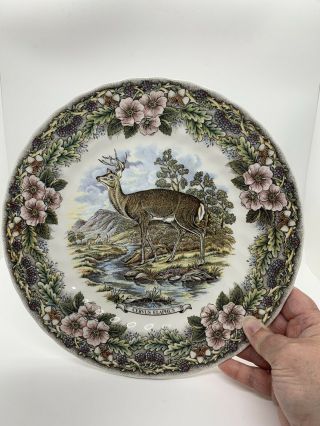 Vintage Stag Plate 10” Wildlife Scenes By Churchill England