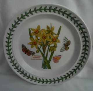Portmeirion Botanic Garden Small Narcissus 7 1/4 " Bread Plate