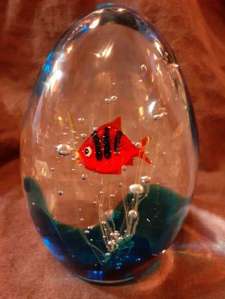 Oggetti Italy Murano Red Fish Signed Elio Raffaeli Glass Aquarium Paper Weigh