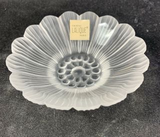 Lalique France Paquerette Daisy Frosted Flower Pin Trinket Dish Bowl W Paper Tag