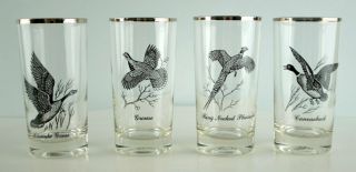 Set Of 8 Vintage Federal Glass Hunting Birds Glasses
