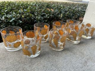 Set Of 8 Mcm Culver Ltd 22k Low Ball Etched Gold Shell Cocktail Glasses