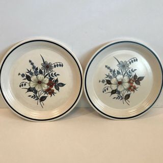 Pair 2 Vintage Town & Country Blue Ridge Stoneware Dinner Plates