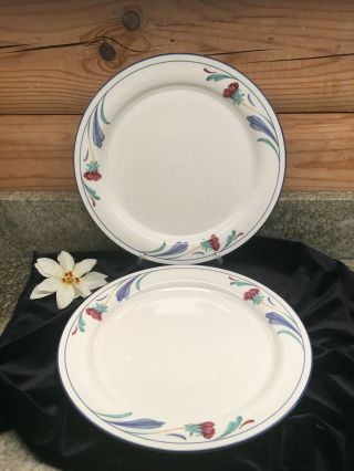 Set Of 2 Poppies On Blue By Lenox Chinastone Dinner Plates 10 3/4 "