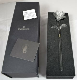In Open Box Waterford Crystal Fleurology Long - Stemmed Rose Flower