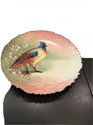 Vintage " B&h Limoges France " Hand Painted 10” Charger Bird Plate Signed C90