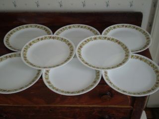 Corelle By Corning 8 Spice Of Life Dinner Plates - 10 - 1/4 "