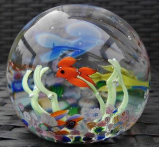 Caithness Glass Flying Fish Millefiori Paperweight Limited Edition Stunning