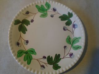 Blue Ridge Dinner Plate/ Southern Pottery/ Mountain Ivy Pattern/ Vintage