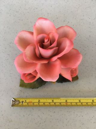 Vintage Napoleon Capodimonte Fine Porcelain Flower Pink Rose Made In Italy