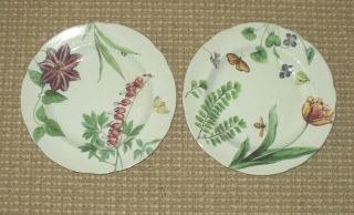 Set Of 2 English Floral Spode For Williams - Sonoma Salad/dessert Plates 9 1/8 "