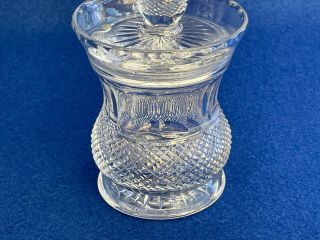 Edinburgh Crystal Thistle Cut Glass - Marmalade / Jam Pot 2
