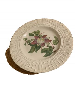 Royal Cauldon Flowers Of The Caribbean " Passion Flower " Plate