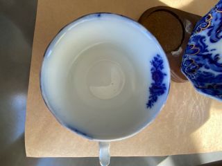 FLOW BLUE Argyle Cup and Saucer 3