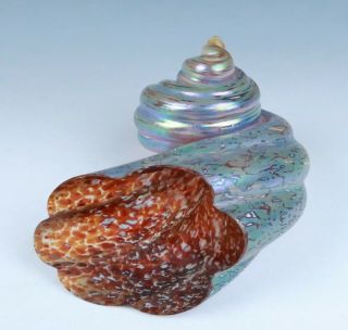 1996 Michael Cohn Molly Stone Iridescent Art Glass Shell Sculpture Paperweight