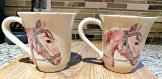 Casafina Equus Mug - 2 Mugs - - Horse Head Equus Mugs