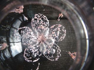 HTF Joe Zimmerman Art Glass Frit Flower & Bubble IVY BOWL Paperweight VASE Pink 2