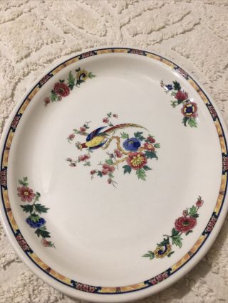 Bird Of Paradise Syracuse China Deep Platter