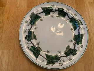 Vintage Wedgwood Napoleon Ivy 10.  5 " Dinner Plate England