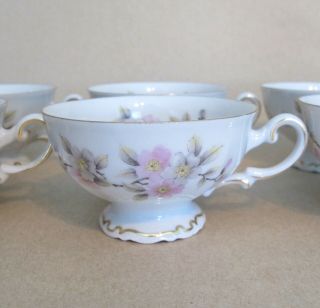 Mitterteich 6 Vintage Floral Teacups In Springtime Pattern Bavaria Germany