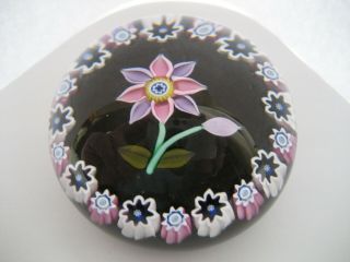 Peter Mcdougall Lampwork Flower And Millefiori Paperweight C/w Pmcd Cane