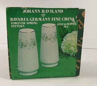 Johann Haviland Bavaria Germany Forever Spring Salt & Pepper Shaker Set Box