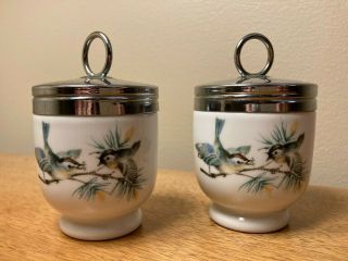 2 - Vintage Royal Worcester Porcelain Bird/wren Egg Coddlers W/ Lids