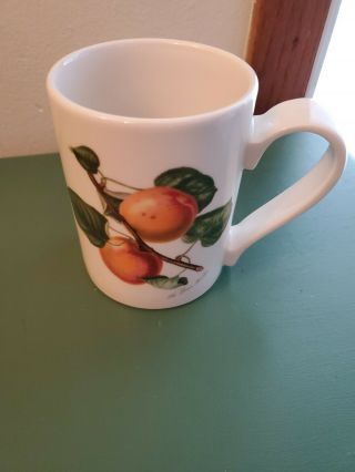 Portmeirion Pomona Coffee Mug The Roman Apricot Made In Britain