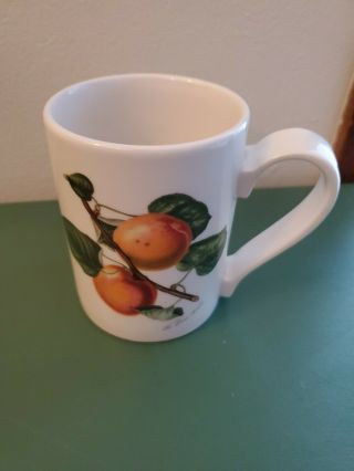 Portmeirion Pomona Coffee Mug The Roman Apricot Made in Britain 2