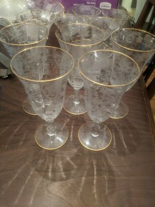 5 Cambridge Wildflower Etched 7 1/2 " Water Or Ice Tea 11oz Gold Rim Stem Glasses