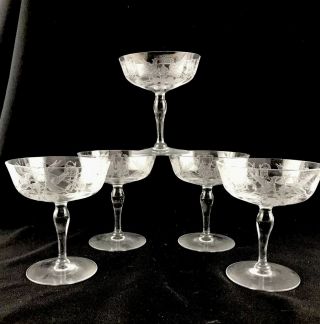 Five 1920s Central Glass Harding Griffin Etched Champagne Glasses 401 4 - 1/4 " U24