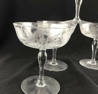 Five 1920s Central Glass Harding Griffin Etched Champagne Glasses 401 4 - 1/4 