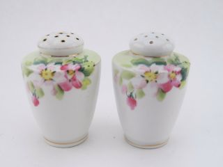 Vintage Nippon Hand Painted Salt And Pepper Shaker Set Floral Design